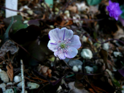 P1210847_1.JPG
