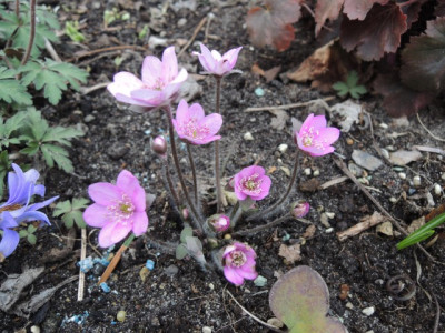 DSCN9657_1287.JPG
