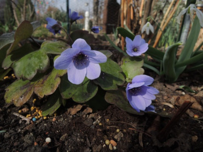 DSCN9677_1289.JPG