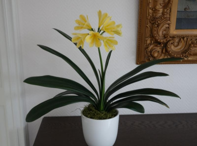 Chinesische Klivie CC06 - 4-2012 - 25.3.2016.jpg