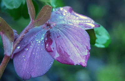 wassertropfenhelli.jpg