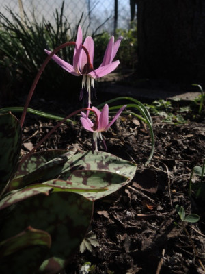 DSCN9694_1291.JPG