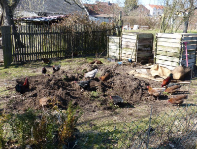 2016-03-26 Kompostplatz 2.jpg