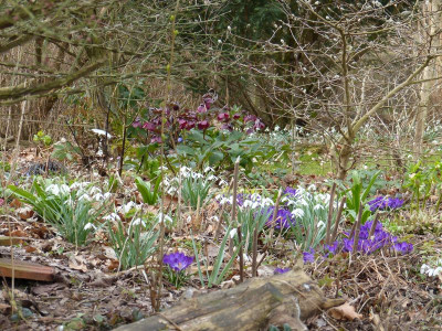 2016-03-27 Gartenimpressionen 9.jpg