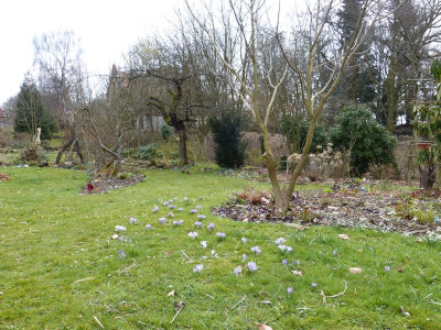 2016-03-27 Gartenimpressionen 10.jpg