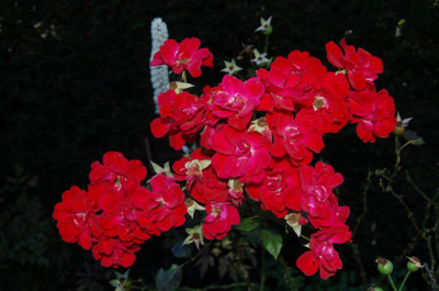Lichterloh_0010_92.jpg