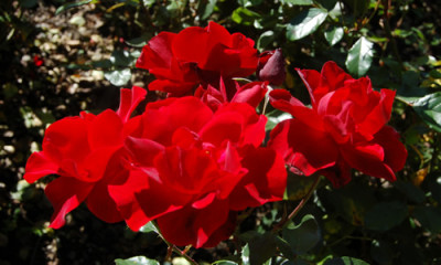 Andalusien_0091_92.jpg