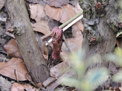 DSCN3256.JPG