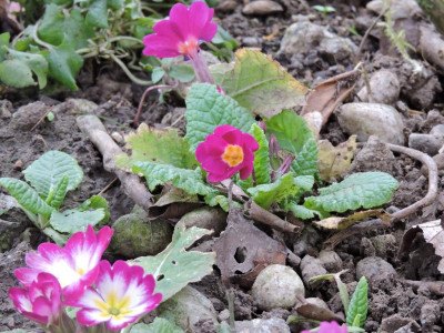 DSCN3255.JPG