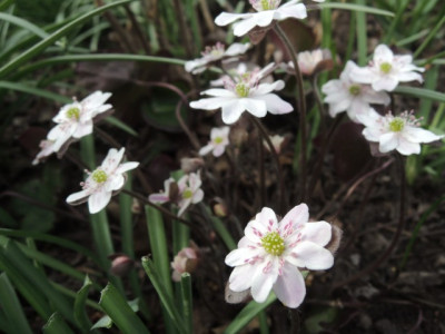 DSCN9735_1299.JPG