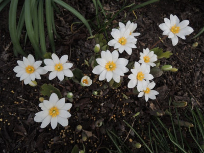 DSCN9738_1301.JPG