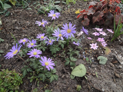 DSCN9760_1303.JPG