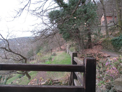 Am Waldrand 20160328_01.jpg