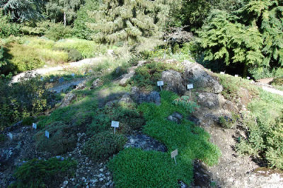 Steingarten_0176_60.jpg