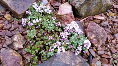 20160330_175102.jpg