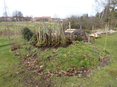 2016-03-30 Totholzhaufen 1.jpg