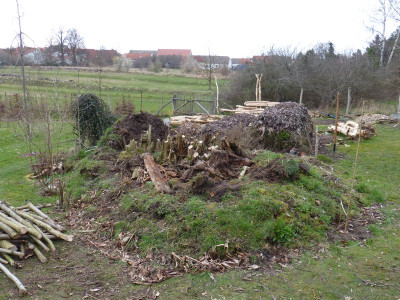 2016-03-30 Totholzhaufen 2.jpg