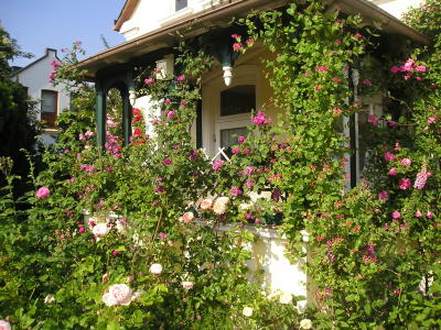 William_Lobb_an_der_Veranda.JPG