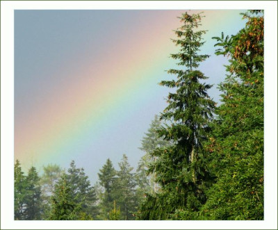 REGENBOGEN_DI_1209_I.jpg