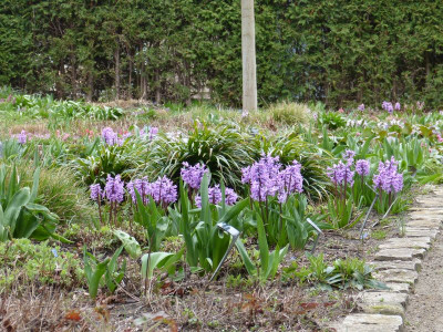 2016-03-31 Foerster 9.jpg