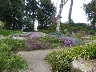2016-03-31 Foerster 10.jpg
