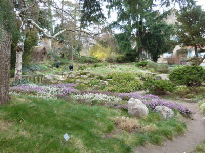 2016-03-31 Foerster 11.jpg