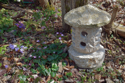 DSC_1172-Laterne &Blüten_003.JPG