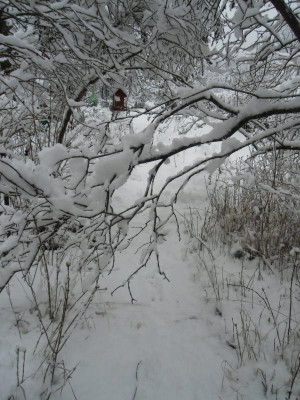 Winter_1. April 2016.JPG