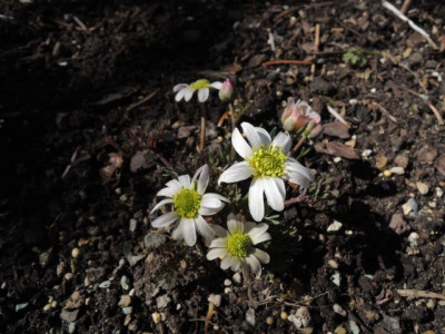 DSCN9778_1314.JPG