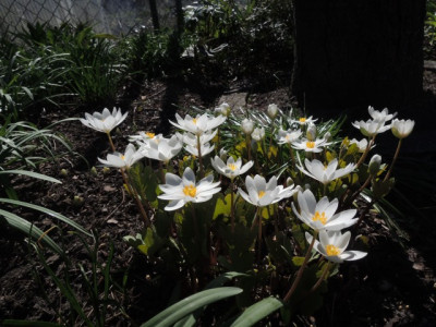 DSCN9770_1313.JPG