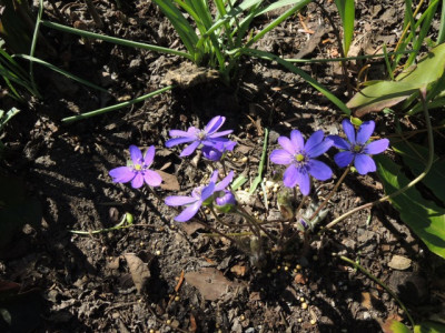 DSCN9796_1310.JPG