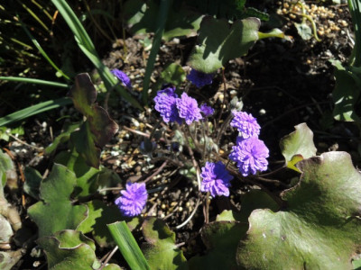 DSCN9766_1312.JPG