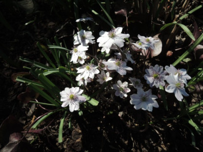DSCN9795_1316.JPG