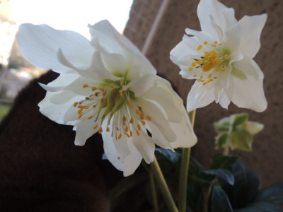 DSCN9826_1322.JPG