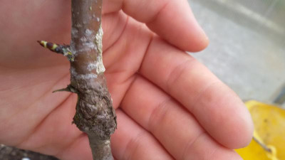 20160402_095550.jpg