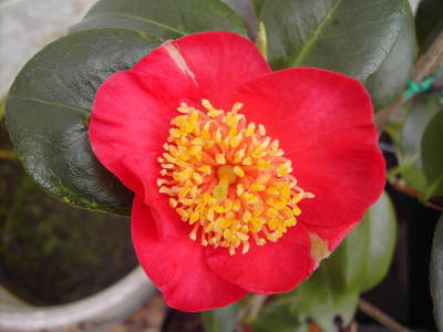 PICT0957.JPG