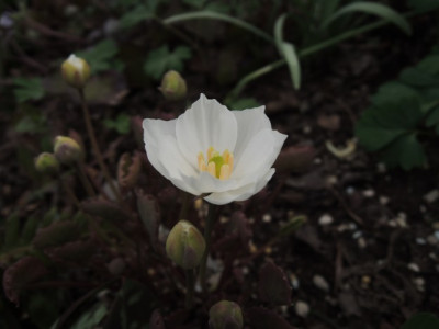 DSCN9854_1328.JPG
