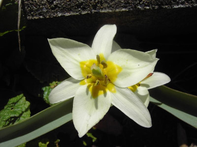 PICT0954.JPG