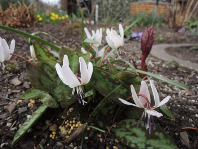 DSCN9751_1330.JPG