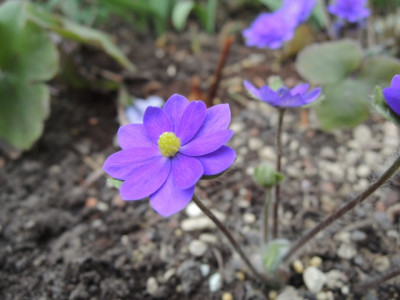 DSCN9856_1331.JPG