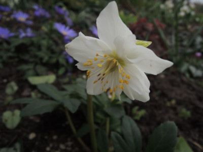 DSCN9921_1346.JPG
