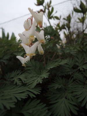 DSCN9912_1344.JPG