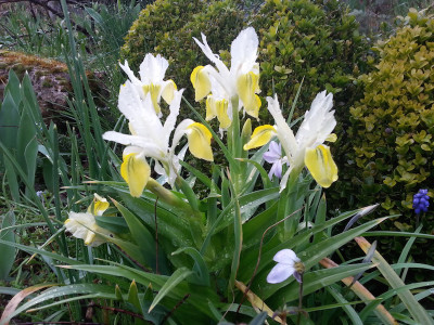 20160405_192259.jpg