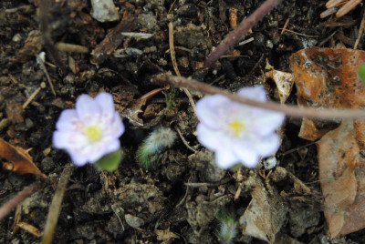 april 027.jpg