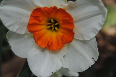 april 015.jpg