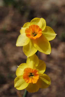 april 010.jpg