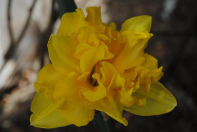 april 024.jpg