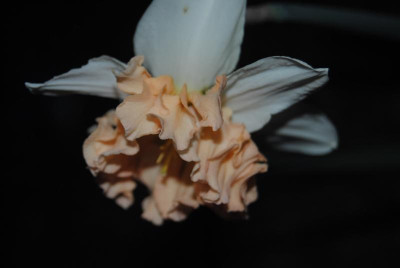 april 054.jpg