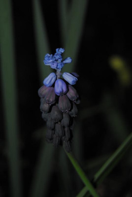 april 053.jpg