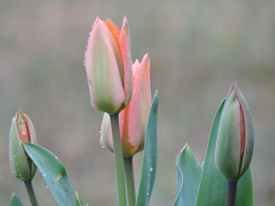 DSCN3319.JPG